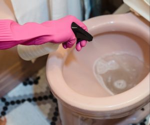 cleaning a toilet bowl